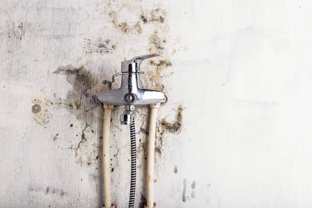 Clifton Heights, PA Mold Removal Company
